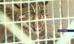 Пенсионеров и инвалидов поселили в приморском зоопарке