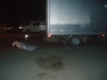 Жительница Уссурийска погибла под колесами машины