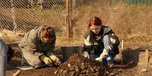 В Приморье «НТК» поставила под угрозу памятники археологии