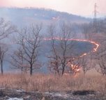 Пожар в заказнике 