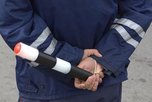 Нетрезвый водитель избил себя на глазах у полицейских