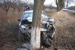 Пожилой водитель въехал в дерево