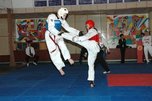 Приморские спортсмены успешно выступили в V международном турнире по тхэквондо \