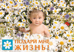 С 9 по 15 июля в Уссурийске пройдёт информационно-просветительская акция «Подари мне жизнь!» 