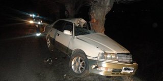 20-летний водитель под Уссурийском, врезавшись в дерево, впал в кому