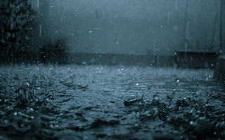 Сильный дождь ожидается в Приморье