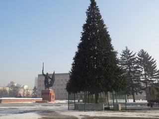Главную елку Уссурийска установили на центральной площади