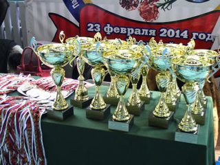 Фестиваль борьбы в Уссурийске собрал более 200 спортсменов со всего Приморья