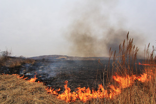 Особый противопожарный режим вводится в Уссурийском округе с 14 марта