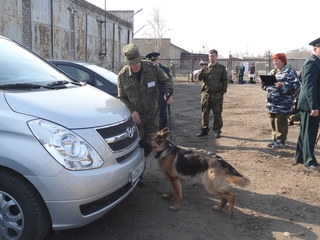 Собаки искали наркотики на территории воинской части в Уссурийске