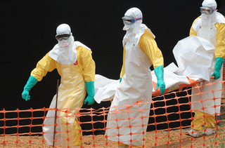 Число жертв вируса Эбола достигло 2097