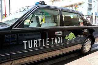 В Японии набирает популярность черепашье такси