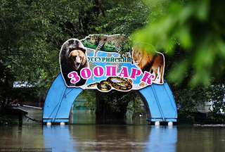 Проект нового зоопарка обсудят сегодня на общественных слушаниях в Уссурийске