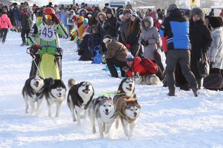 Соревнования по езде на собачьих упряжках пройдут под Уссурийском