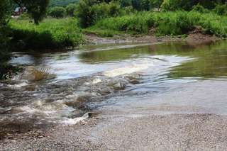 Погода село кроуновка. Село Кроуновка Приморский край.