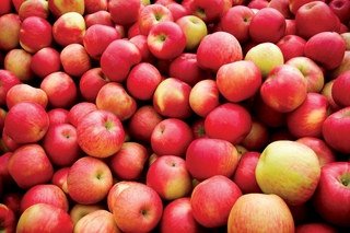 Более 9 тонн запрещенных фруктов изъято в Уссурийске
