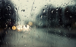 Сильные дожди ожидаются в Приморье
