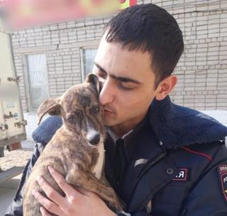 В Уссурийске сотрудники полиции помогли бездомному щенку обрести любящего хозяина