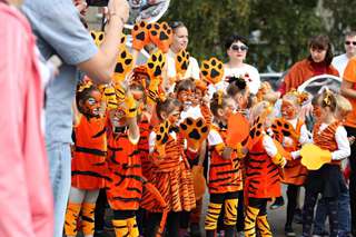 День тигра отметят в Уссурийске 29 сентября