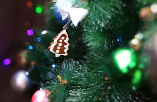 Дед Мороз поздравит детей Приморья с Новым годом через соцсети