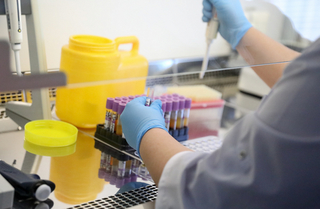 Пять новых случаев заболевания коронавирусом подтверждены в Приморье 