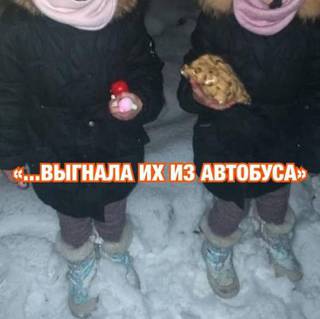 Кондуктор в Приморье выгнала маленьких девочек из автобуса на мороз
