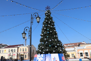 Более 30 новогодних елок установили в Уссурийске