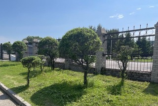 1107 шагов к красоте: итоги июньской обрезки деревьев