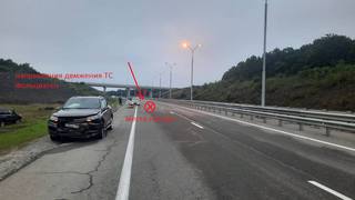 В Приморье сотрудники полиции проводят проверку по факту наезда на тигра