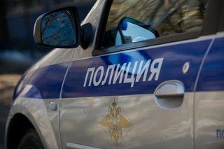Полиция в Уссурийске возбудила уголовное дело о жестоком обращении с животным