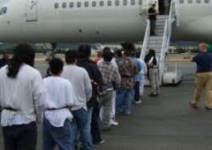 Число депортированных иностранных граждан в Приморье постоянно растет