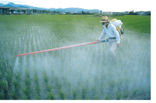 В Приморье пресечено применение партии запрещённых пестицидов иностранного производства
