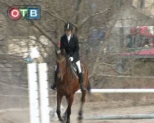 В Приморье открыт сезон конного спорта